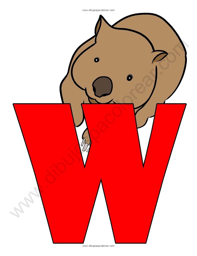 Letra W Wómbat abecedario dibujo a color y para colorear